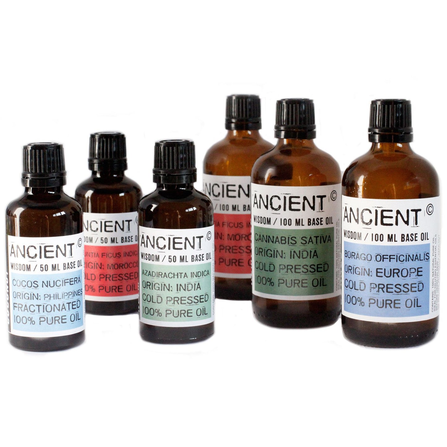 Peach Kernel Oil - 50ml - Vivid Aromas UK