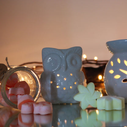 Classic White Oil Burner - Tall Owl - Vivid Aromas UK