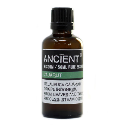 Cajaput Essential Oil 50ml - Vivid Aromas UK