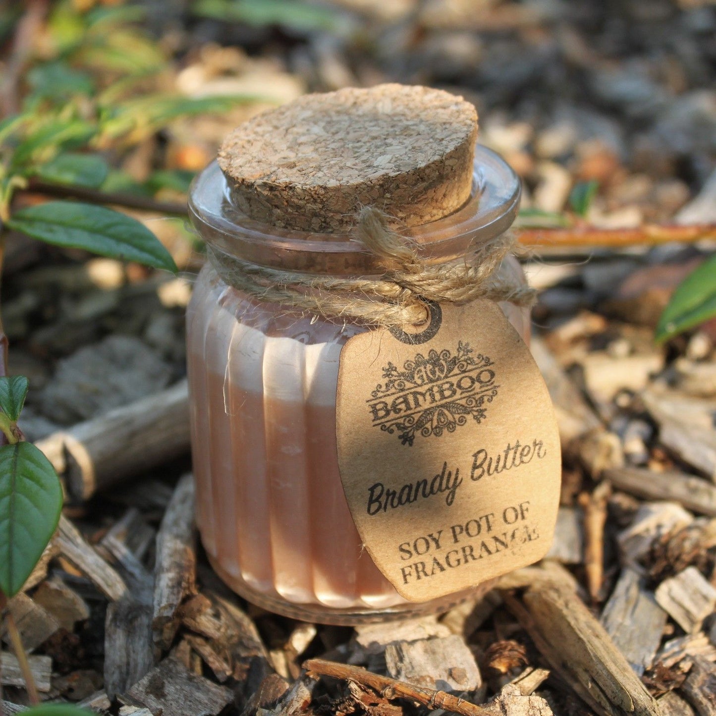 Brandy Butter Soy Pot of Fragrance Candles - Vivid Aromas UK