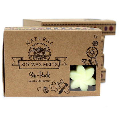 Box of 6 Wax Melts - Lemon Harvest - Vivid Aromas UK