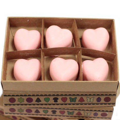 Box of 6 Wax Melts - Dragon's Blood - Vivid Aromas UK