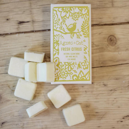 Agnes + Cat Box of 8 Wax Melts - Fresh Citrus - Vivid Aromas UK