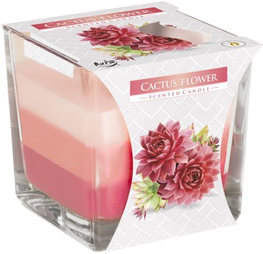 Rainbow Jar Candle - Cactus flower - Vivid Aromas UK