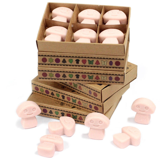 Box of 6 Wax Melts - Old Ginger - Vivid Aromas UK