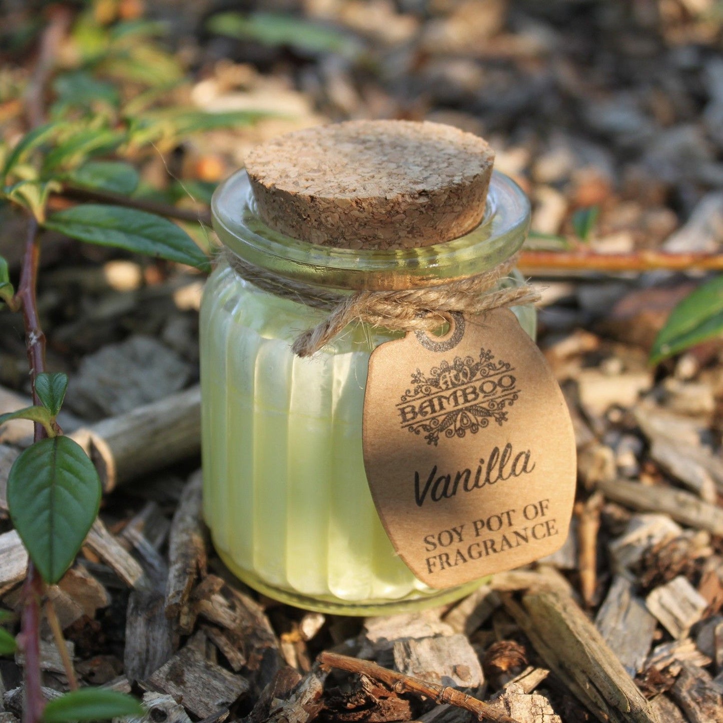 Vanilla Soy Pot of Fragrance Candles - Vivid Aromas UK