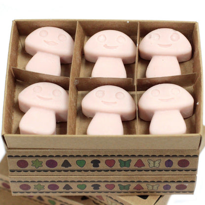 Box of 6 Wax Melts - Old Ginger - Vivid Aromas UK