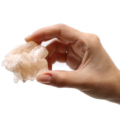 Stilbite Combination with Appophyllite 20-30mm - Vivid Aromas UK