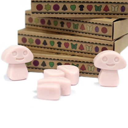 Box of 6 Wax Melts - Old Ginger - Vivid Aromas UK