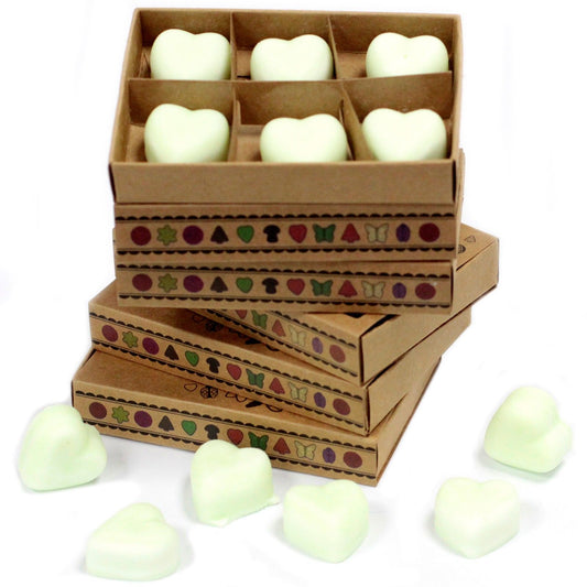 Box of 6 Wax Melts - Apple Spice - Vivid Aromas UK