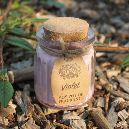 Violet Soy Pot of Fragrance Candles - Vivid Aromas UK