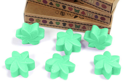 Box of 6 Wax Melts - Hidden Garden - Vivid Aromas UK