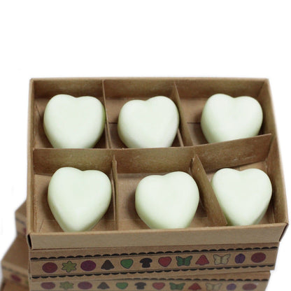 Box of 6 Wax Melts - Apple Spice - Vivid Aromas UK