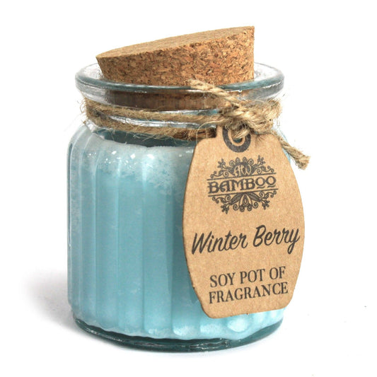 Winter Berry Soy Pot of Fragrance Candles - Vivid Aromas UK