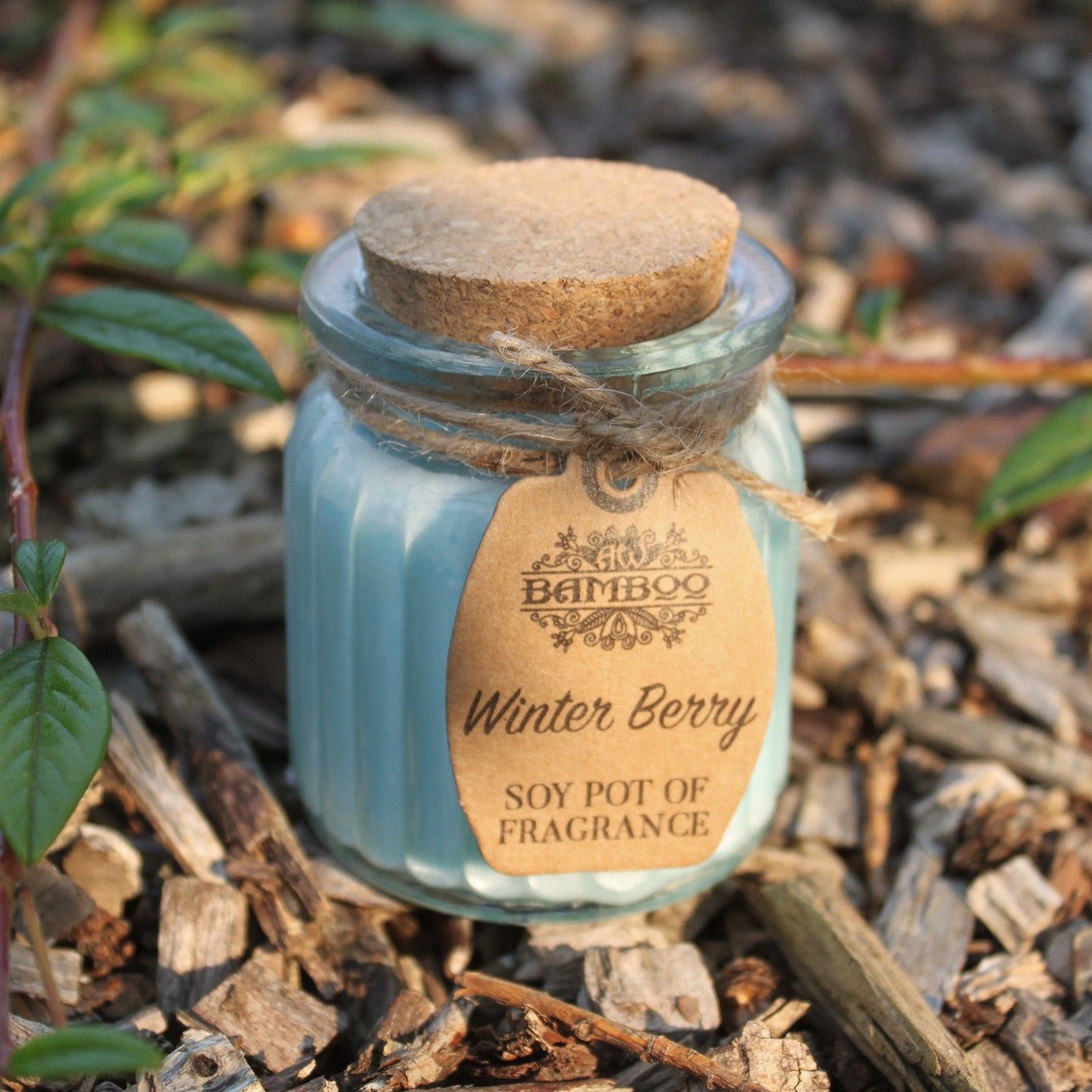 Winter Berry Soy Pot of Fragrance Candles - Vivid Aromas UK