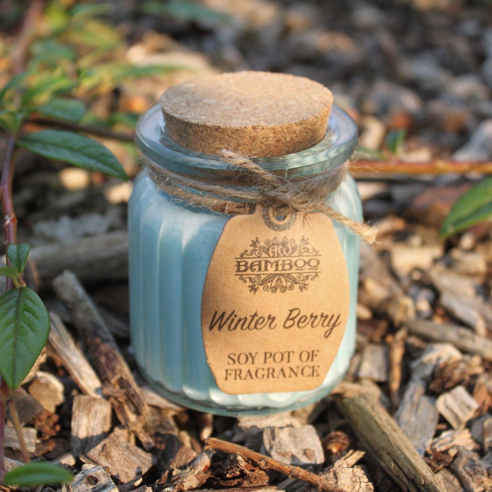 Winter Berry Soy Pot of Fragrance Candles - Vivid Aromas UK