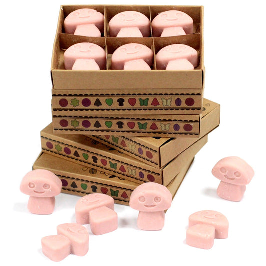 Box of 6 Wax Melts - Coffee Trader - Vivid Aromas UK
