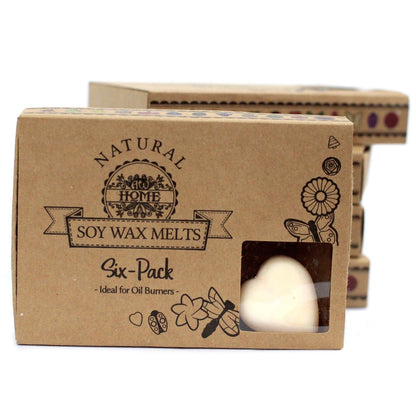Box of 6 Wax Melts - Cinnamon & Orange - Vivid Aromas UK