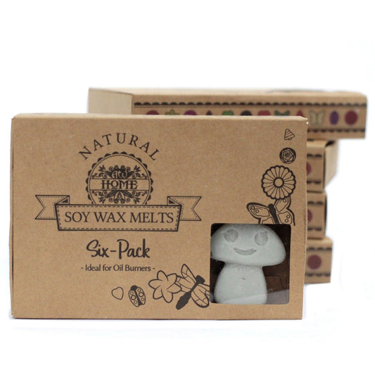 Box of 6 Wax Melts - Dark Patchouli - Vivid Aromas UK