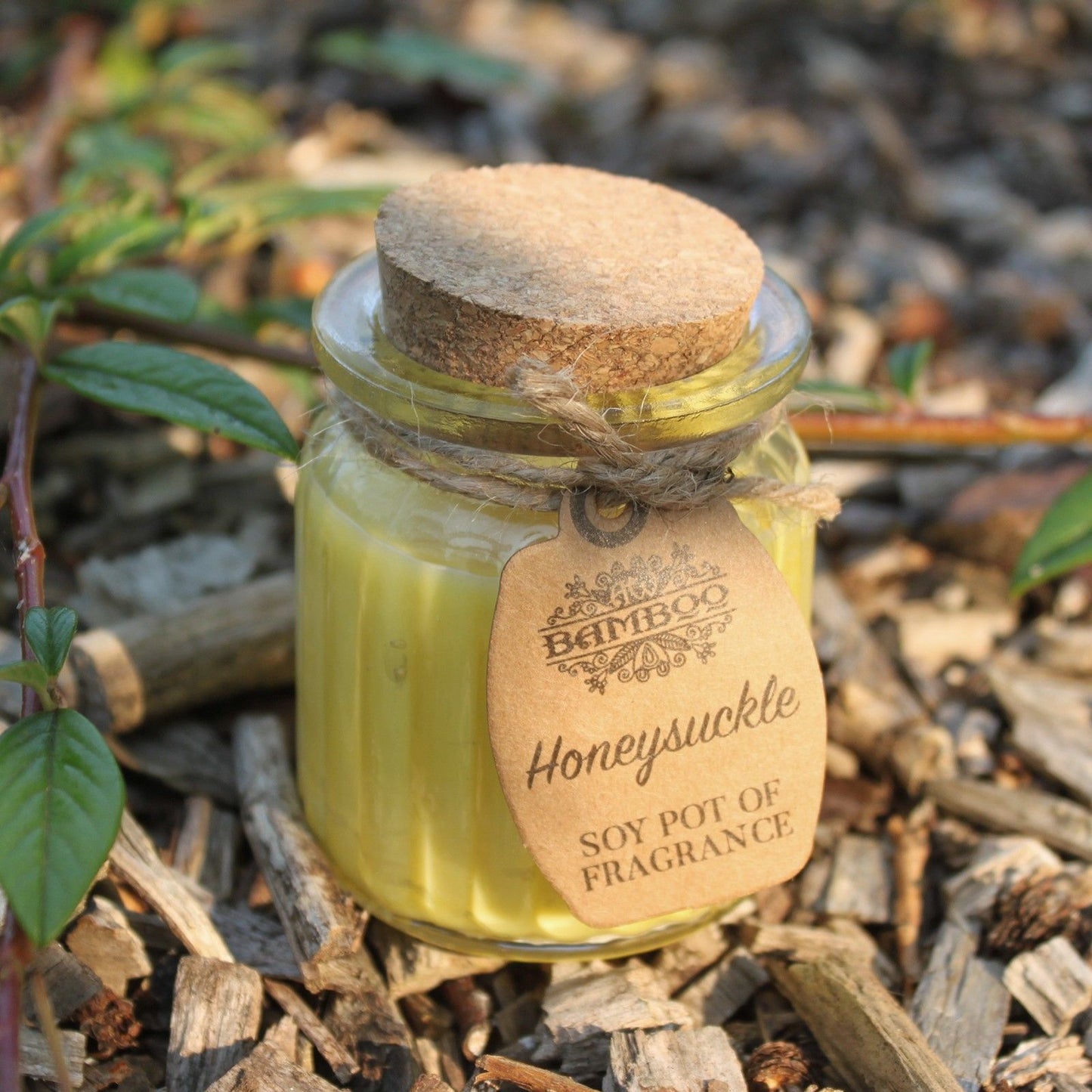 Honeysuckle Soy Pot of Fragrance Candles - Vivid Aromas UK
