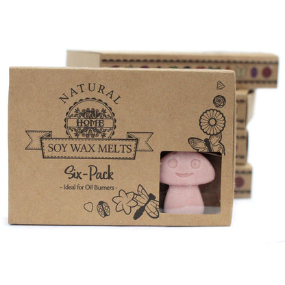 Box of 6 Wax Melts - Coffee Trader - Vivid Aromas UK