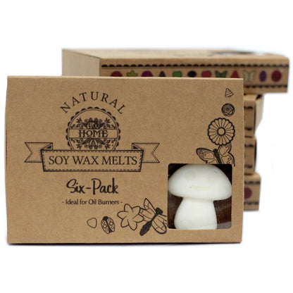 Box of 6 Wax Melts - White Musk - Vivid Aromas UK