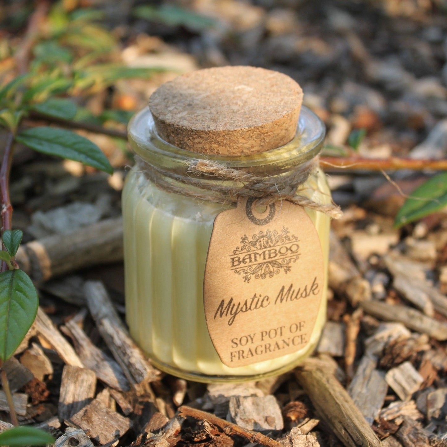Mystic Musk Soy Pot of Fragrance Candles - Vivid Aromas UK