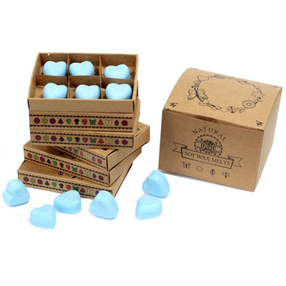 Box of 6 Wax Melts - Dewberry - Vivid Aromas UK
