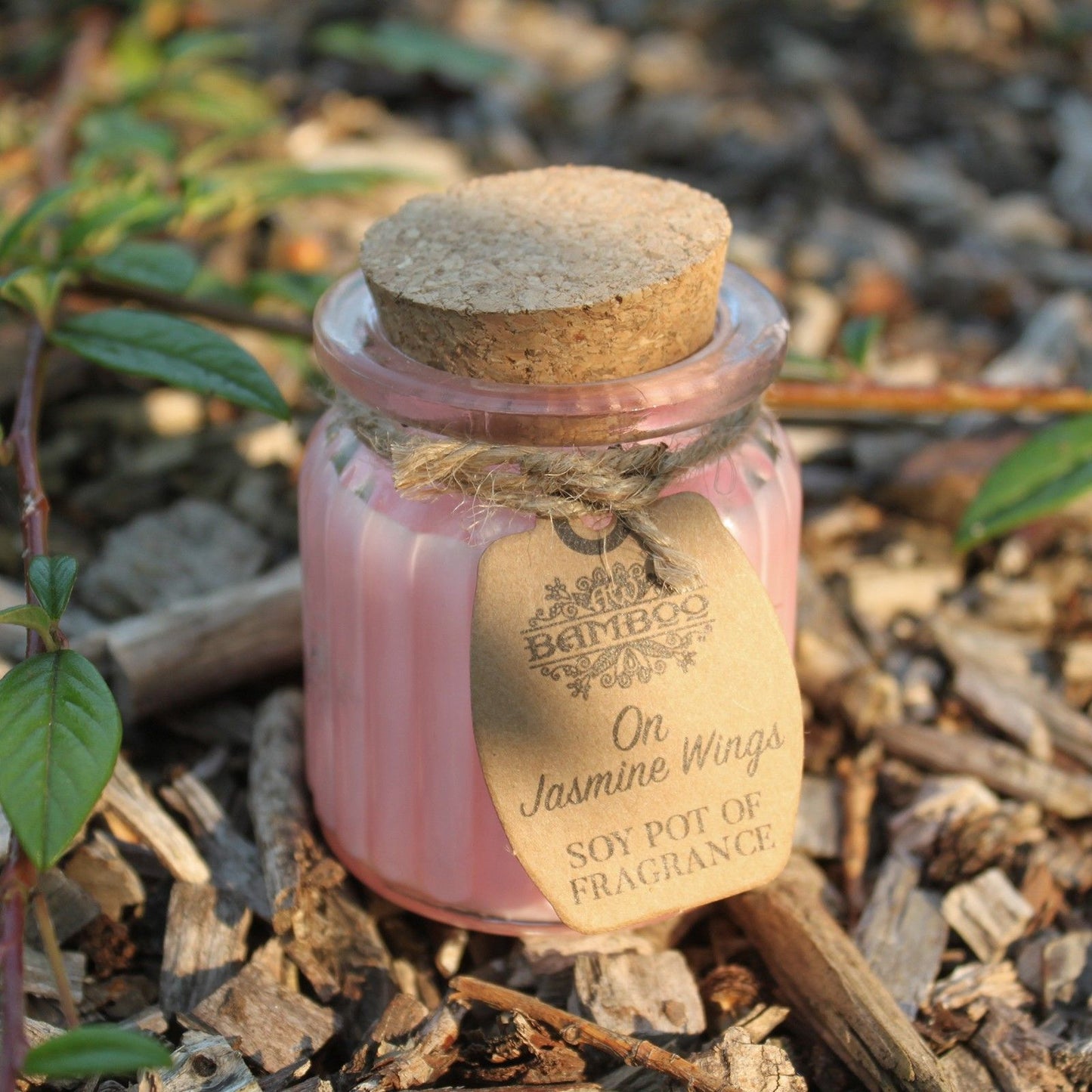 On Jasmine Wings Soy Pot of Fragrance Candles - Vivid Aromas UK
