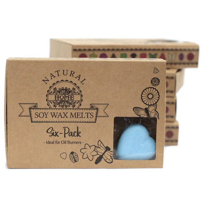 Box of 6 Wax Melts - Dewberry - Vivid Aromas UK
