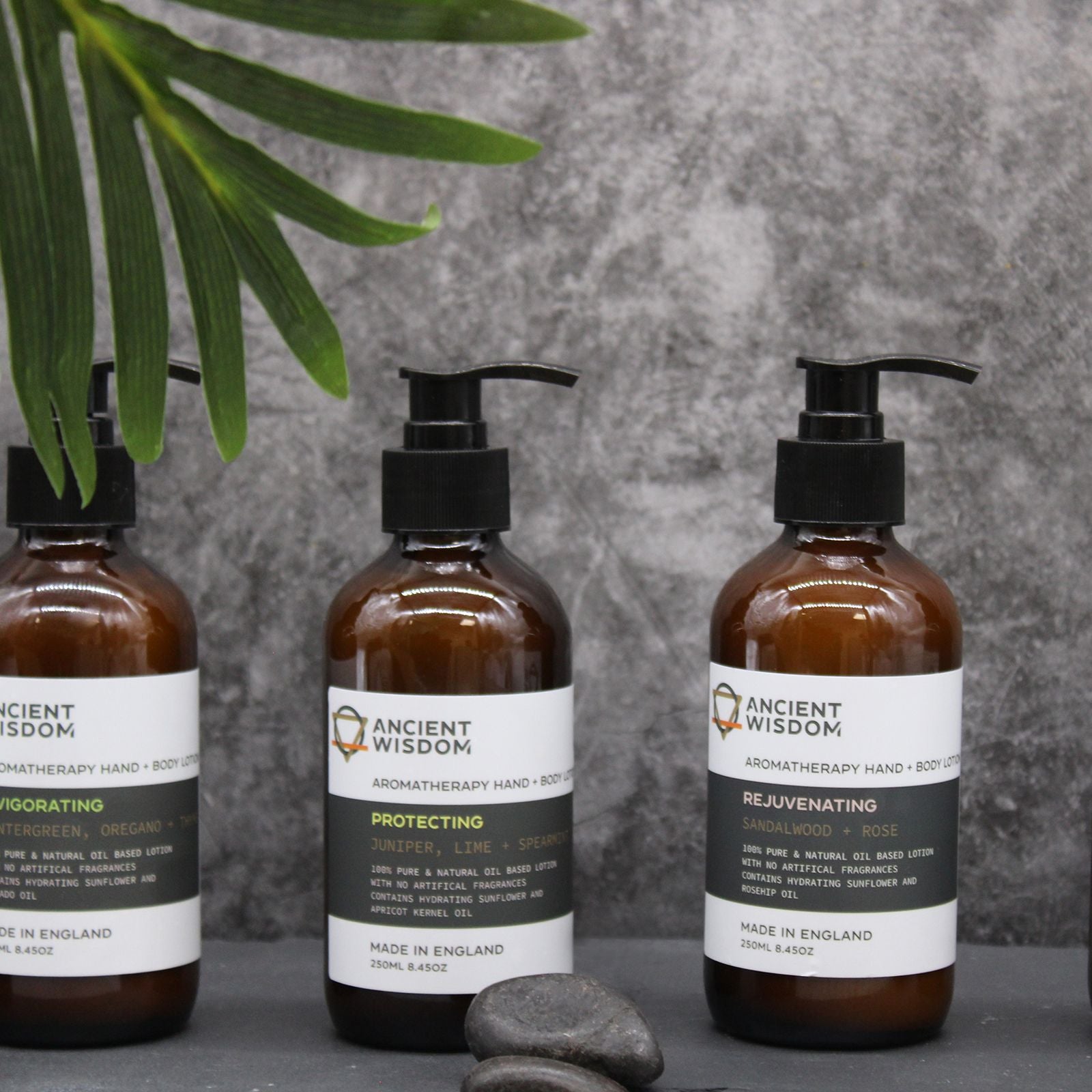 Wintergreen, Oregano & Thyme Hand & Body Lotion 250ml - Vivid Aromas UK