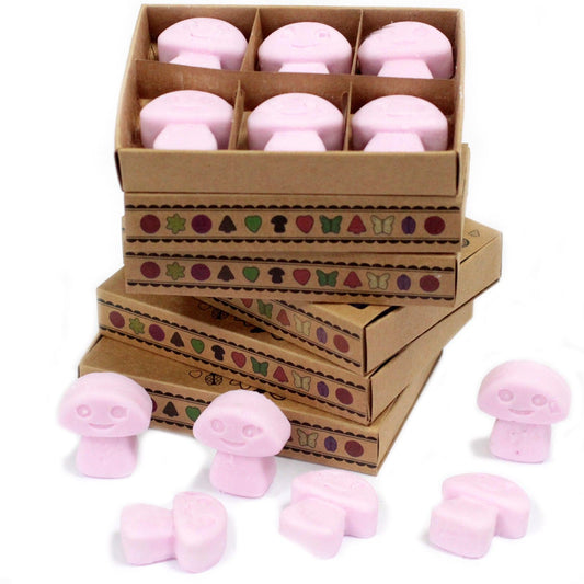 Box of 6 Wax Melts - Ylang Ylang - Vivid Aromas UK