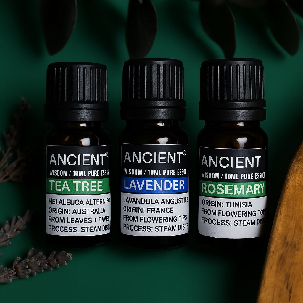 Lavender, Tea Tree & Rosemary Essential Oil Set | 3 x 10ml - Vivid Aromas UK
