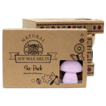 Box of 6 Wax Melts - Ylang Ylang - Vivid Aromas UK