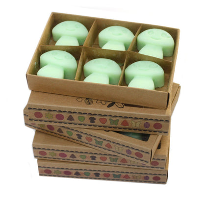 Box of 6 Wax Melts - Liquorice - Vivid Aromas UK