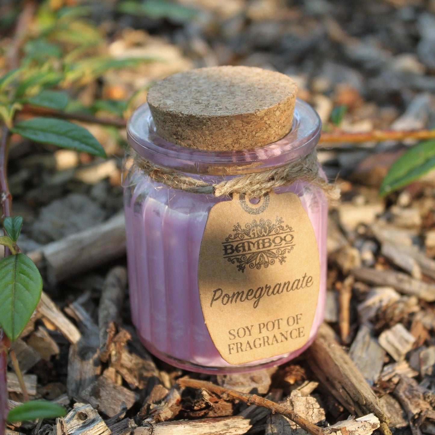 Pomegranate Soy Pot of Fragrance Candles - Vivid Aromas UK