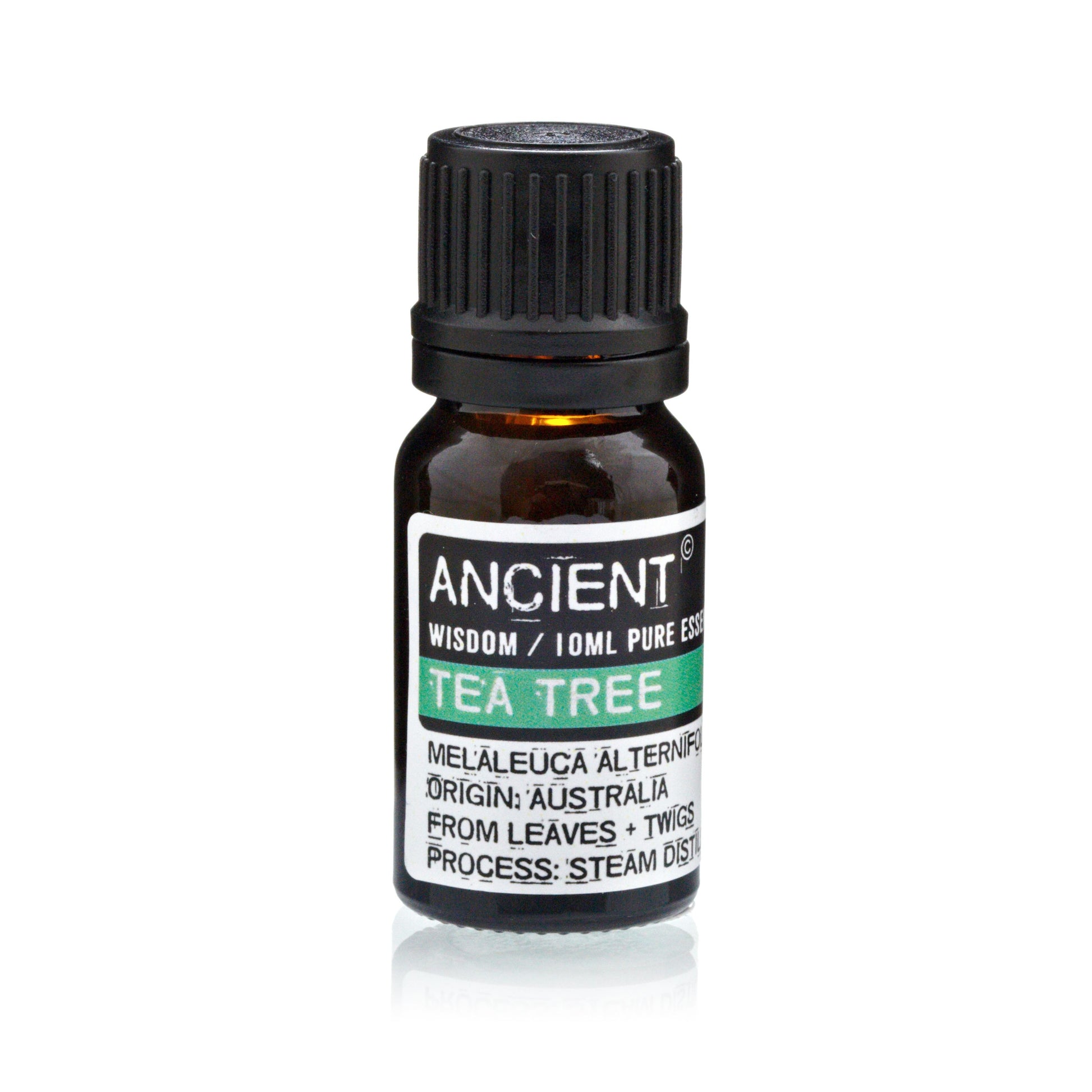 Lavender, Tea Tree & Rosemary Essential Oil Set | 3 x 10ml - Vivid Aromas UK