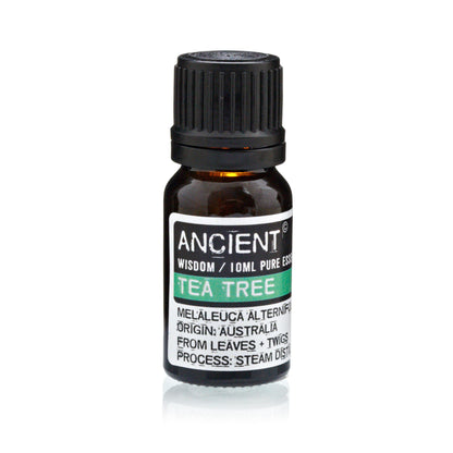 Lavender, Tea Tree & Rosemary Essential Oil Set | 3 x 10ml - Vivid Aromas UK