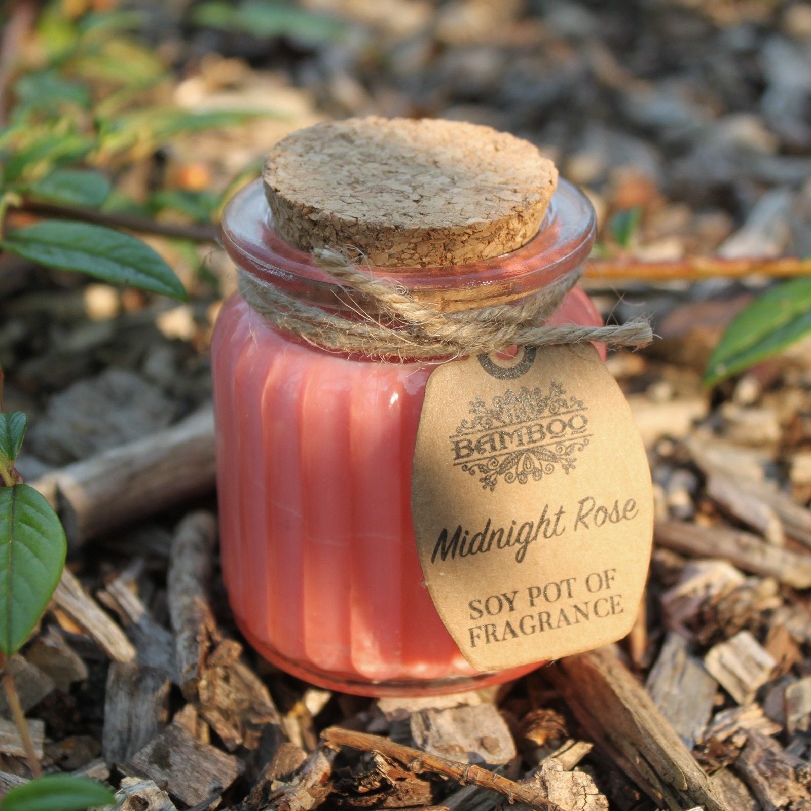 Midnight Rose Soy Pot of Fragrance Candles - Vivid Aromas UK