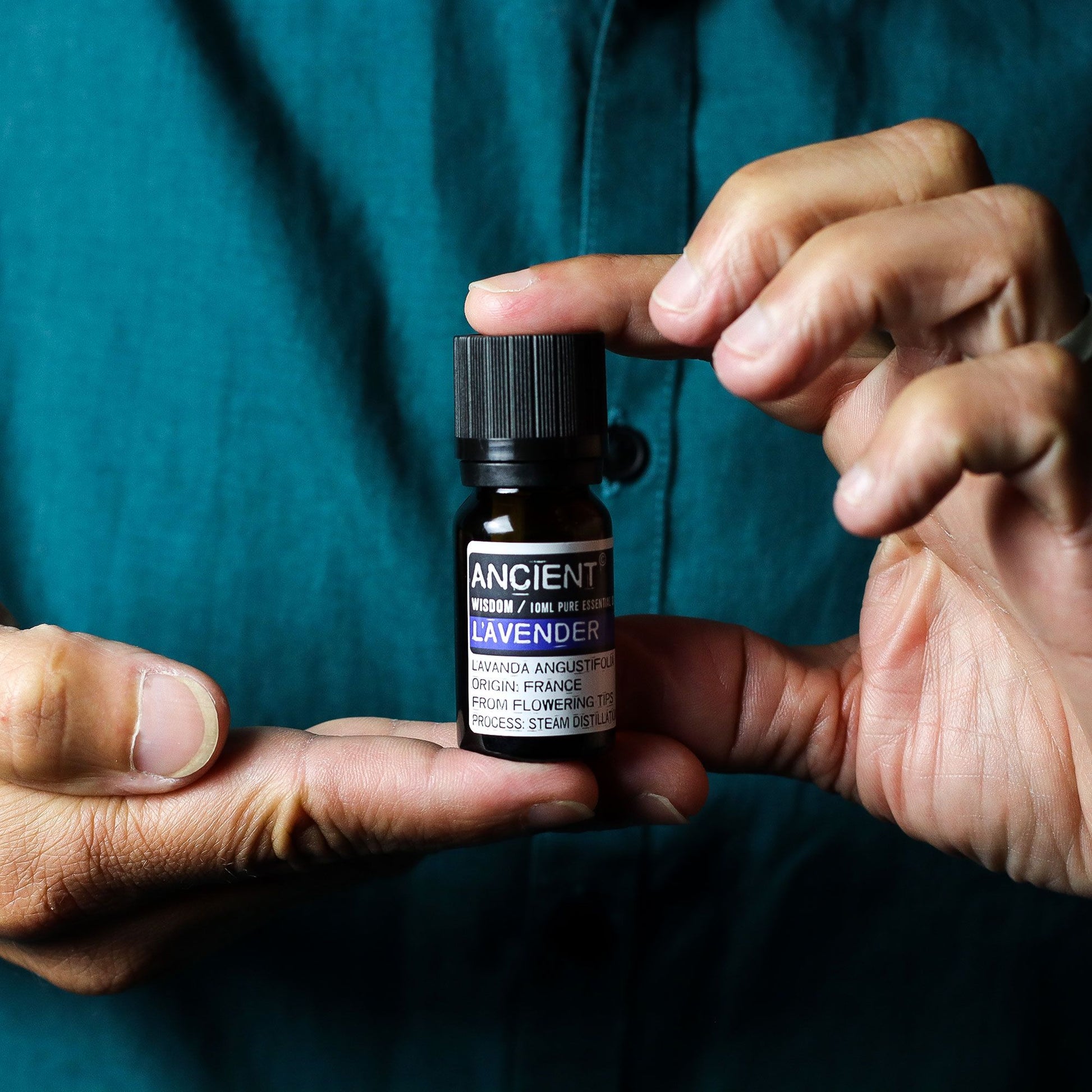 Lavender, Tea Tree & Rosemary Essential Oil Set | 3 x 10ml - Vivid Aromas UK