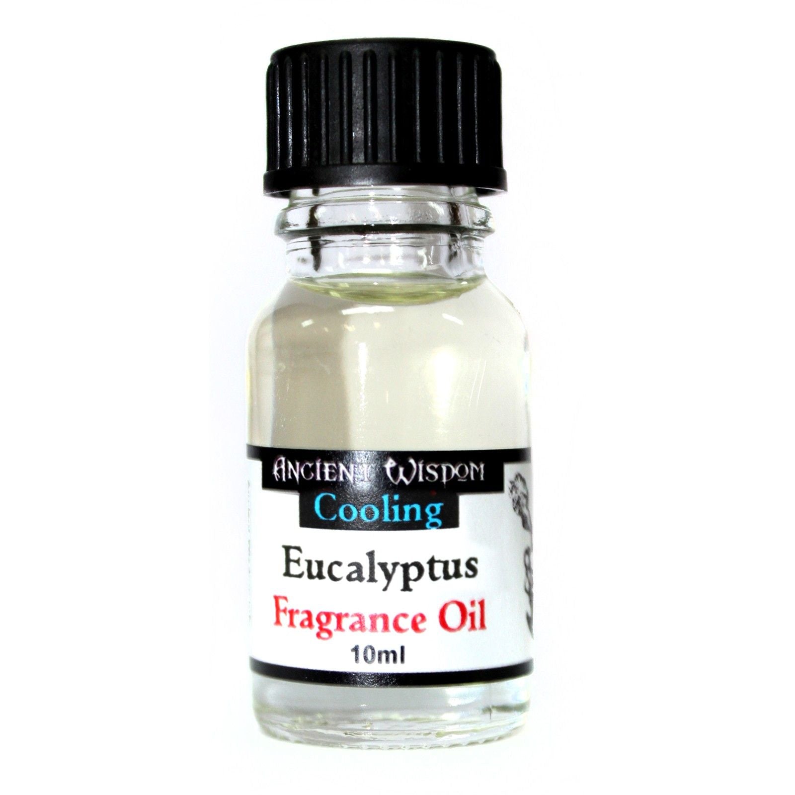 10ml Eucalyptus Fragrance Oil - Vivid Aromas UK