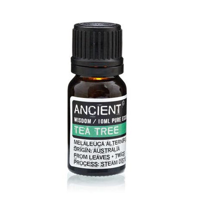 Tea Tree Essential Oil - 10ml - Vivid Aromas UK