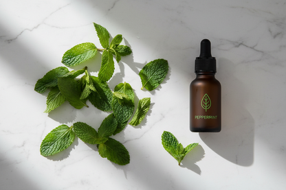 Peppermint Essential Oil - 10ml - Vivid Aromas UK